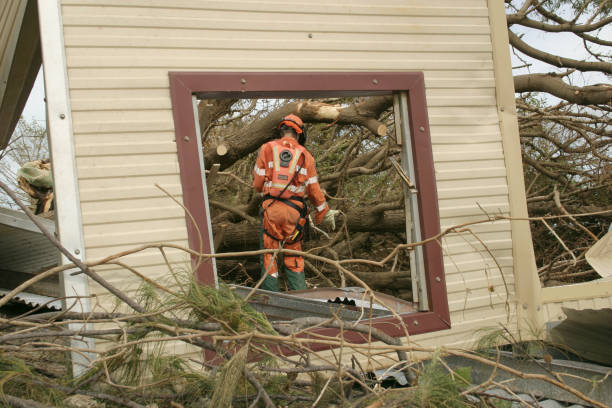 Reliable Loveland, OH Tree Services Solutions